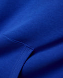 Psycho Bunny Mens Relaxed Fit Hoody Nathaniel | Royal