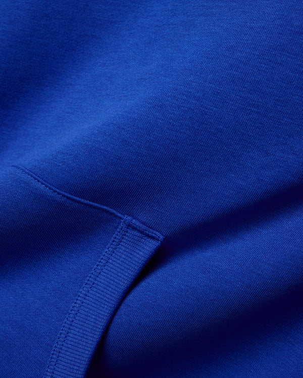 Psycho Bunny Mens Relaxed Fit Hoody Nathaniel | Royal