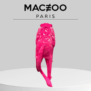 Maceoo Lion | Pink