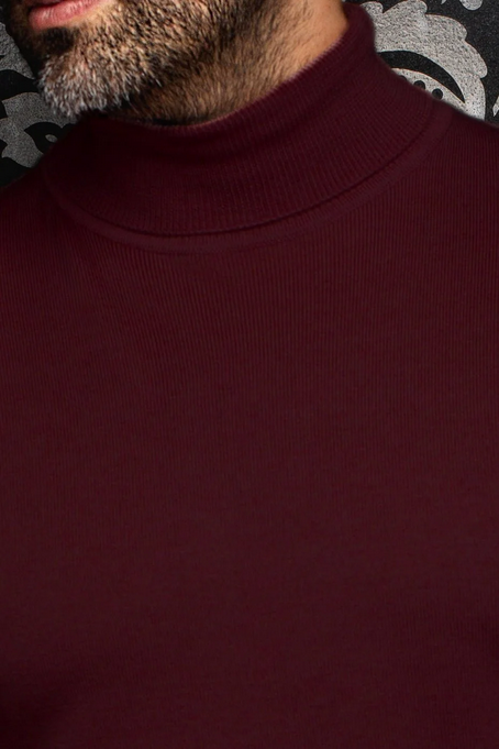 AU N PULL TRTL NECK ARKANES