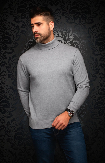 AU N PULL TRTL NECK ARKANES