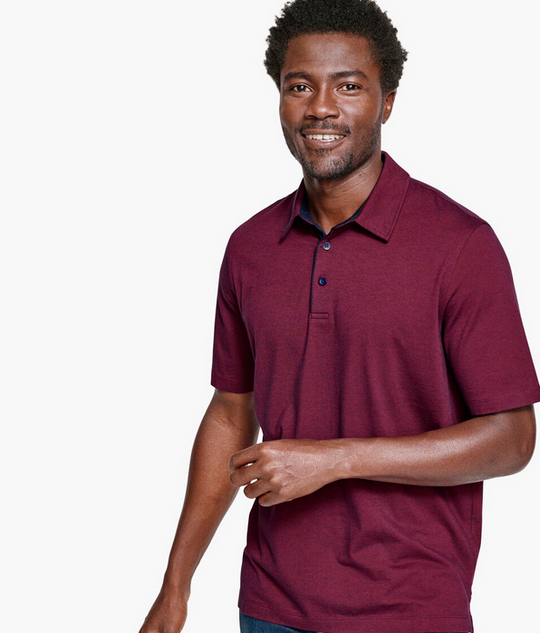 Johnston & Murphy Fine Stripe Polo | Burgandy
