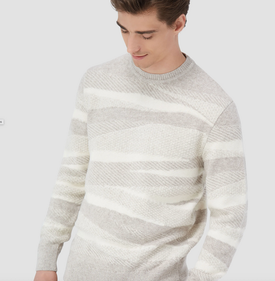 Bugatchi Crew Neck Sweater | Willow
