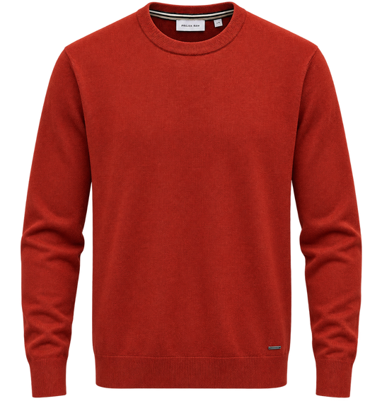 Projek Raw Crew Neck Sweater Soft Touch | Autumn Mix