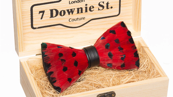 7 DOWNIE STREET BOW TIE FEATHER RED - Caswell's Fine Menswear