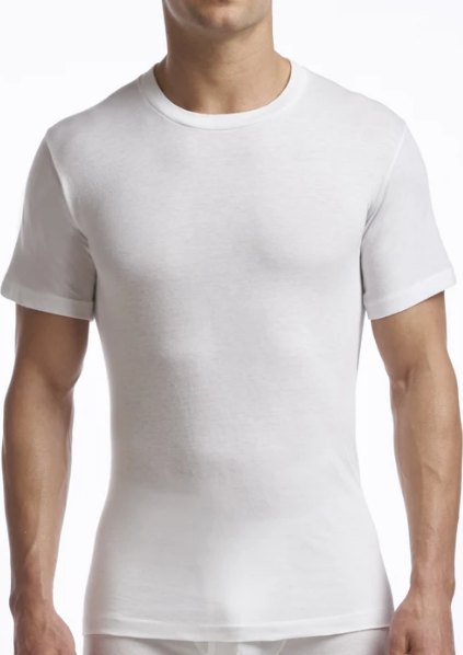 STANFIELDS SUPREME UNDERSHIRT CREW NECK 2 PACK WHITE - Caswell's Fine Menswear
