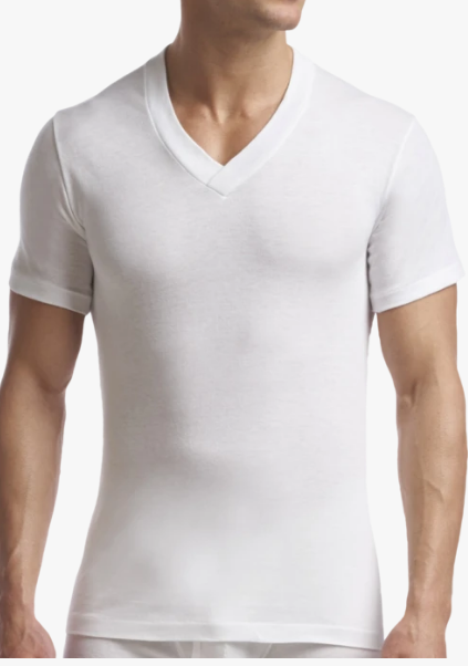 STANFIELDS SUPREME UNDERSHIRT V NECK 2 PACK WHITE - Caswell's Fine Menswear