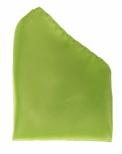 PLAIN MICROFIBER POCKET SQUARES ~ 50 COLORS - Caswell's Fine Menswear